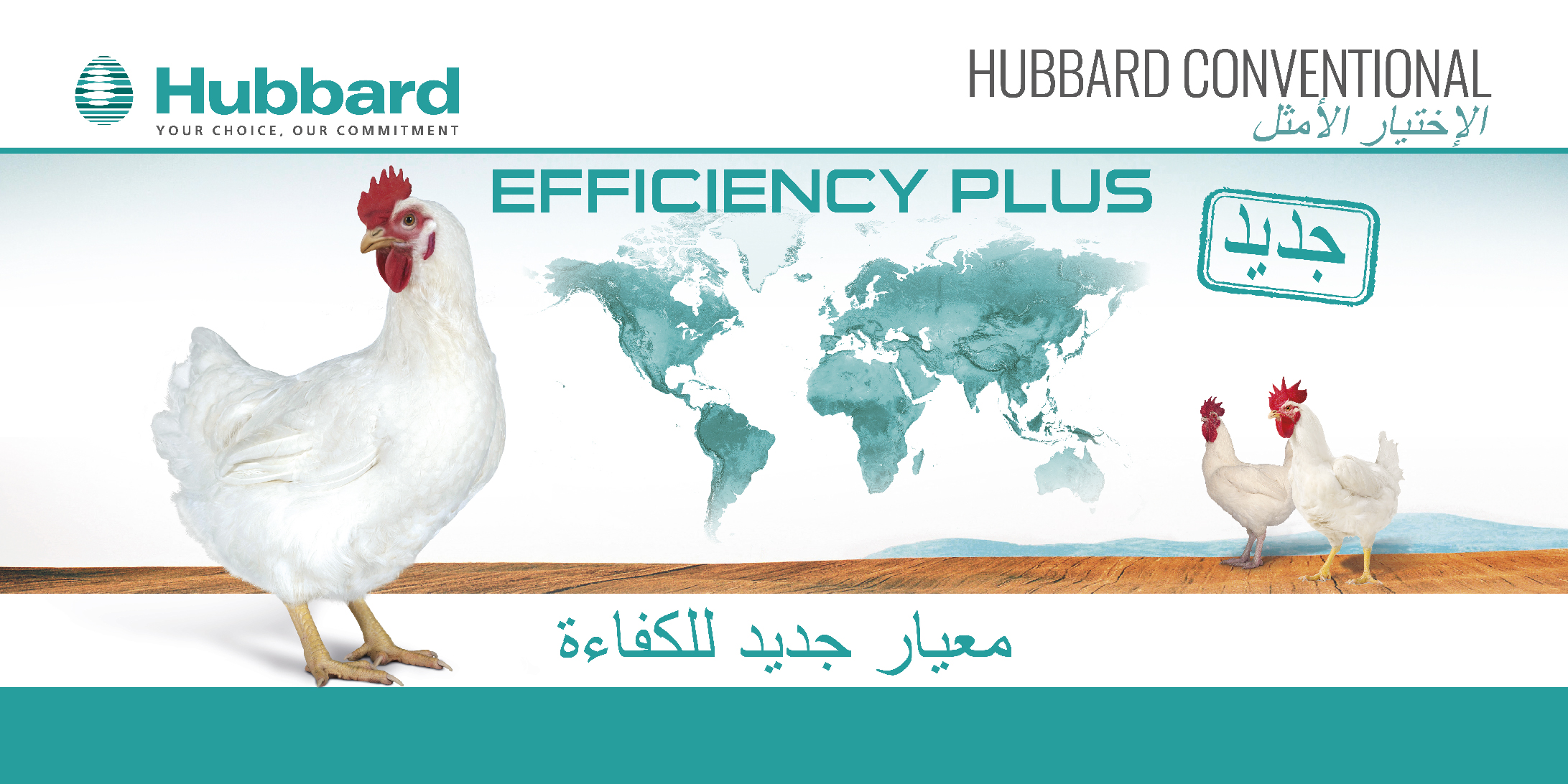 HUBBARD EFFICIENCY PLUS_AR