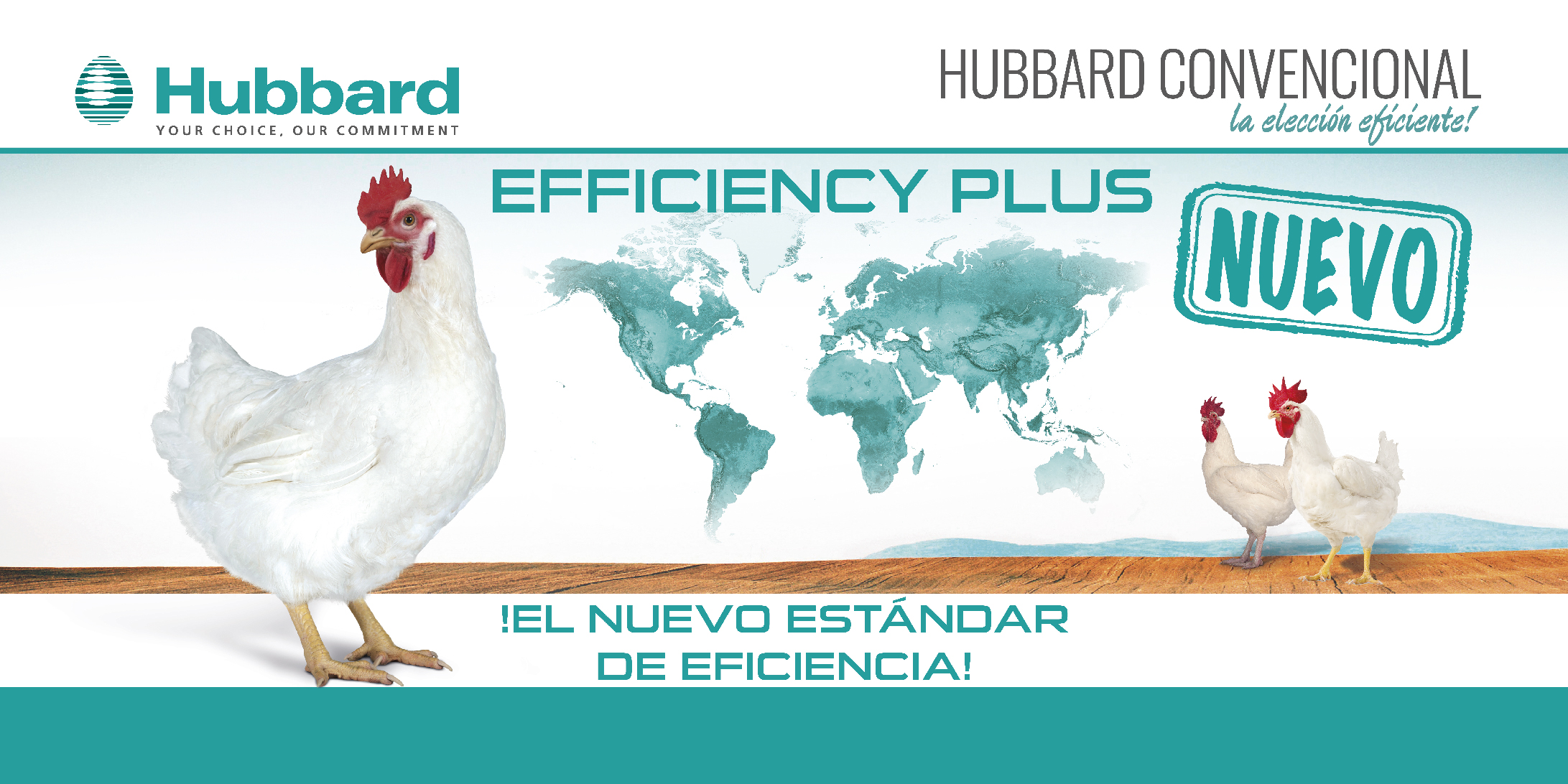HUBBARD EFFICIENCY PLUS_ES