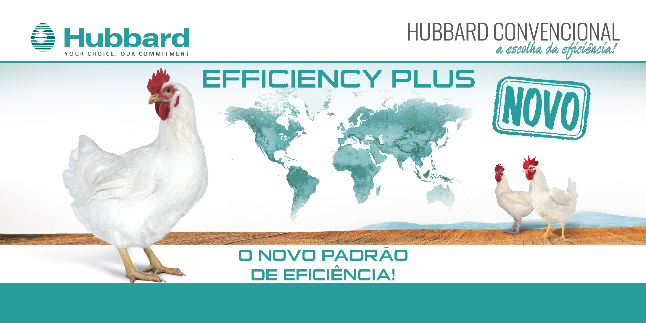 HUBBARD EFFICIENCY PLUS_PT