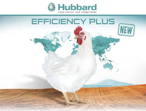 BlocActu_EN_Hubbard Efficiency Plus