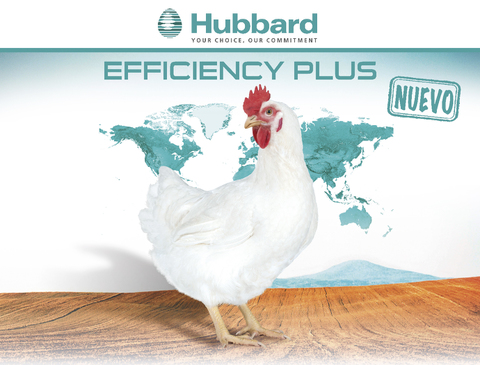 BlocActu_ES_Hubbard Efficiency Plus