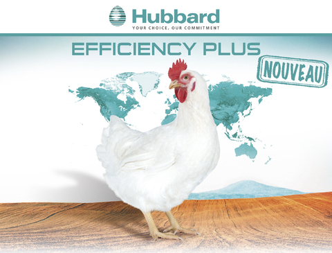 BlocActu_FR_Hubbard Efficiency Plus