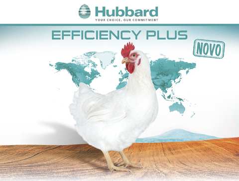 BlocActu_PT_Hubbard Efficiency Plus