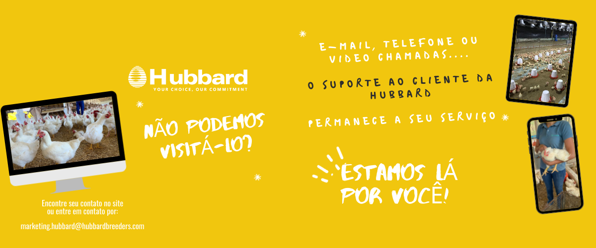 Hubbard Breeders Encontre o Contato em sua região