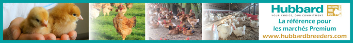 BANNIERE-MOBILE-PHONE---FA-E-NEWS-202404092-ld