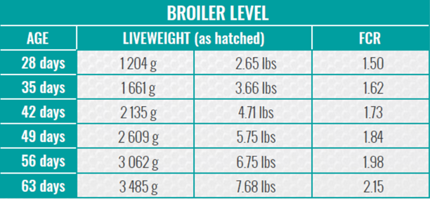 Broiler Table