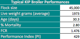 KIP Broiler Table Perf
