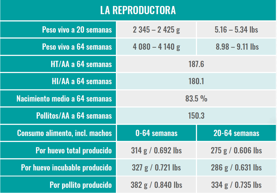 DATA HEP PS ES