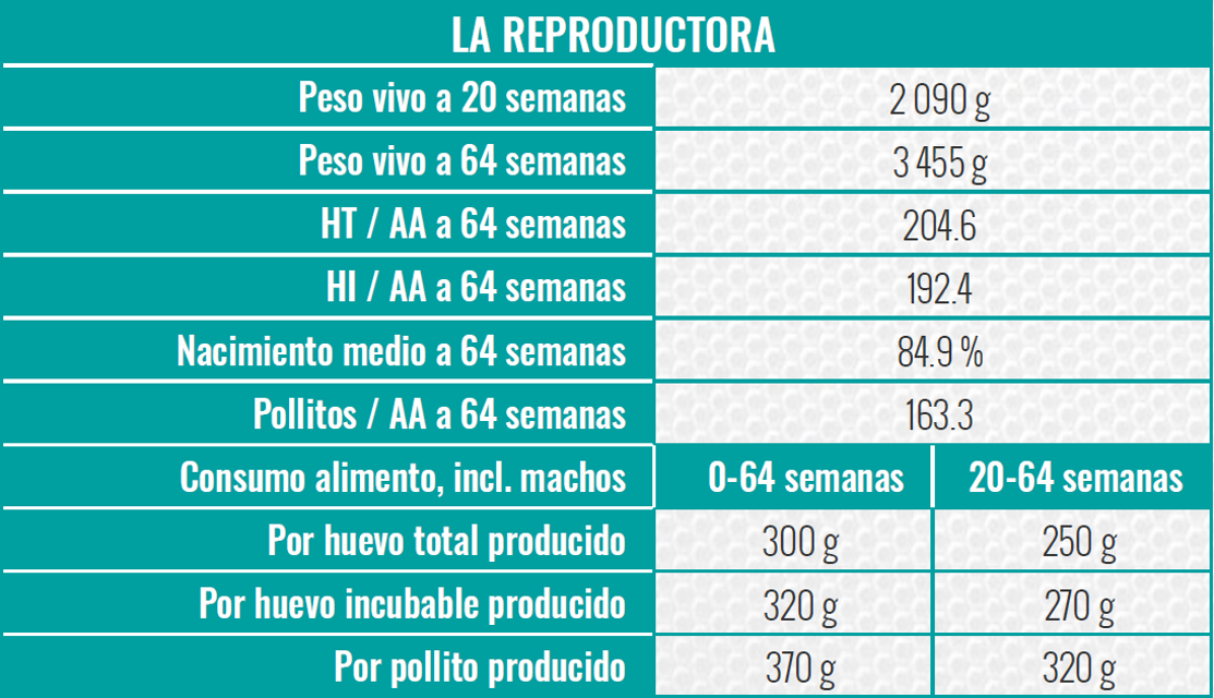 ES-LA REPRODUCTORA