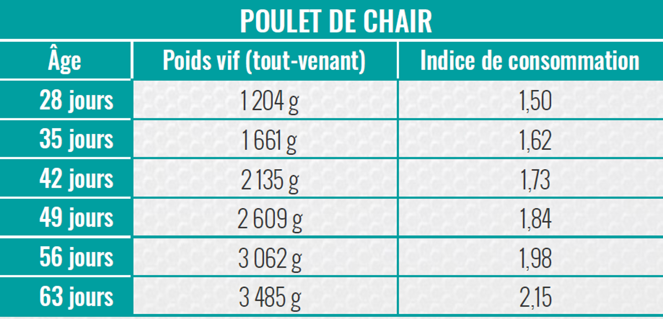 FR-POULET