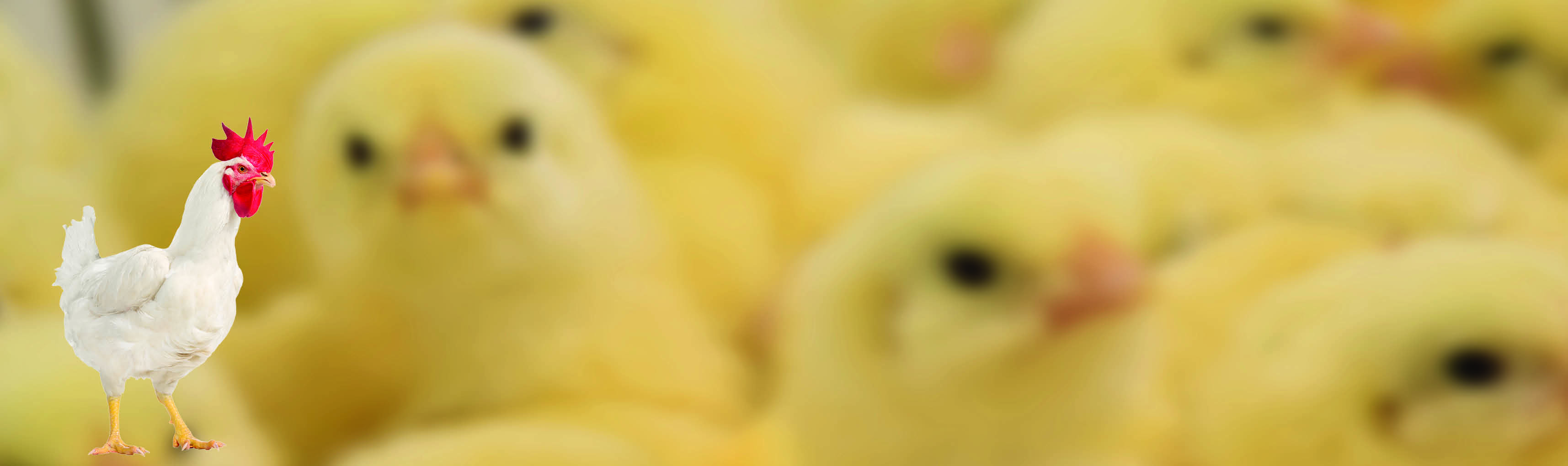 HOME-TITRE-ET-M22---1200-350