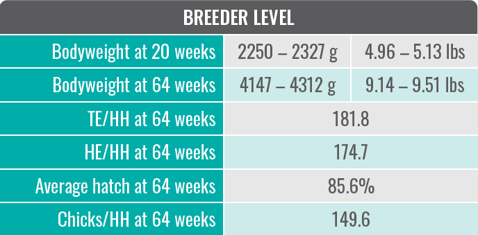 Hubbard Edge Breeder Performances 2025_