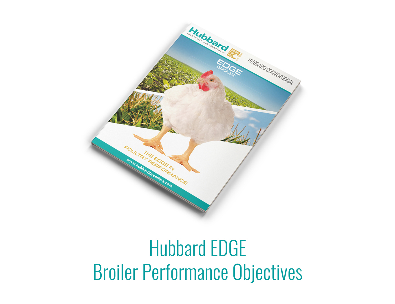 Hubbard-EDGE-Broiler-Performance-Objectives