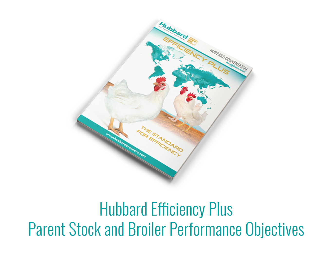 Hubbard-Efficiency Plus-Leaflet-PS-and-Broiler-Perf-Objectives