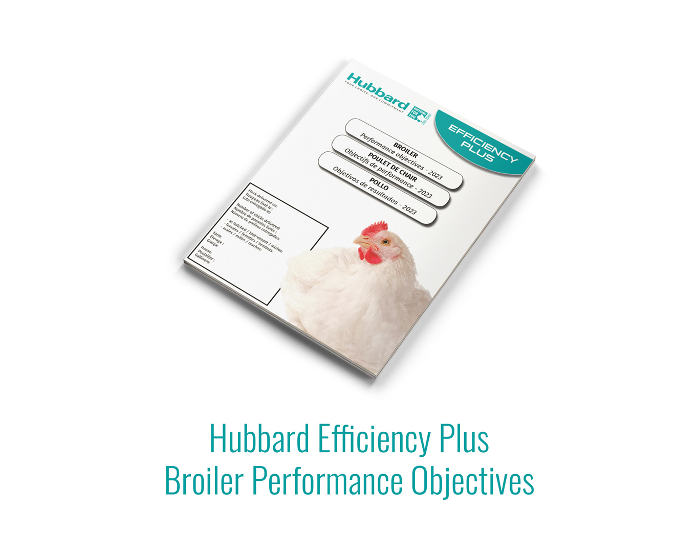 Hubbard-Efficiency-Plus-Mockup-Broiler-PO