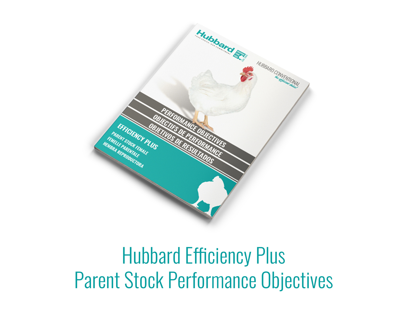 Hubbard-Efficiency-Plus-Parent-Stock-Perf-Objectives