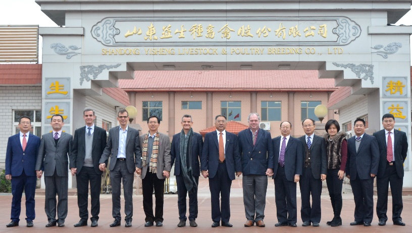Image_Yisheng Shandong