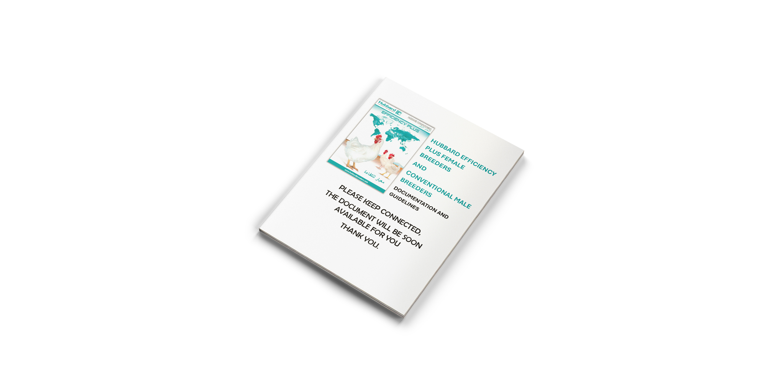 MOCKUP-ARABIC-DOC-BLANK