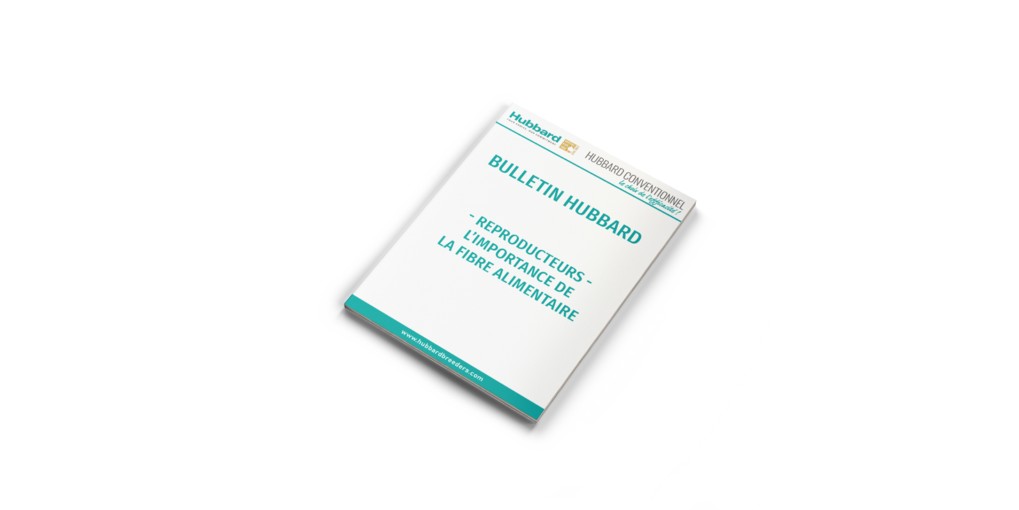 MOCKUP-BH_Fibre-alimentaire
