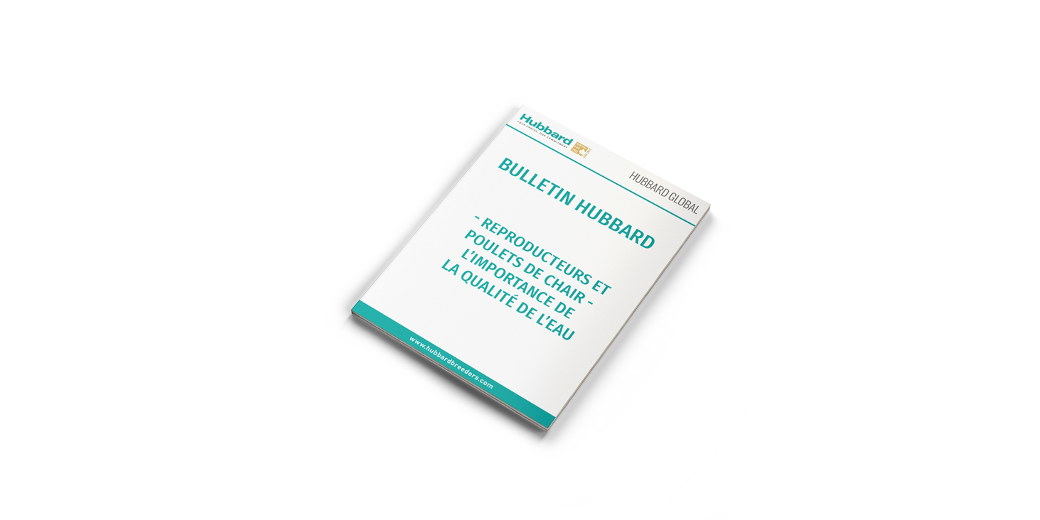 MOCKUP-BH_Qualité-de-l'eau