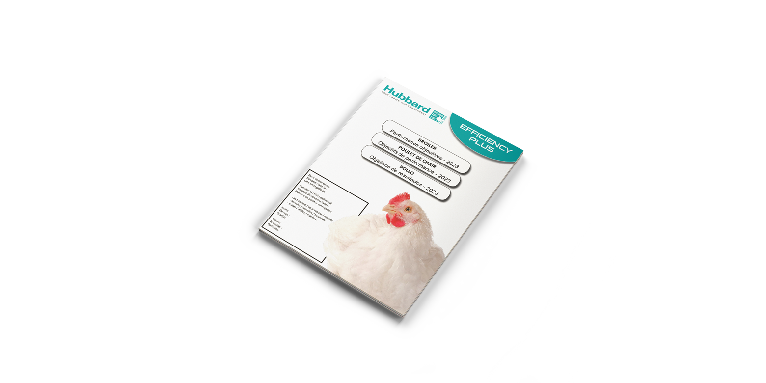 Mockup-Broiler-PO-
