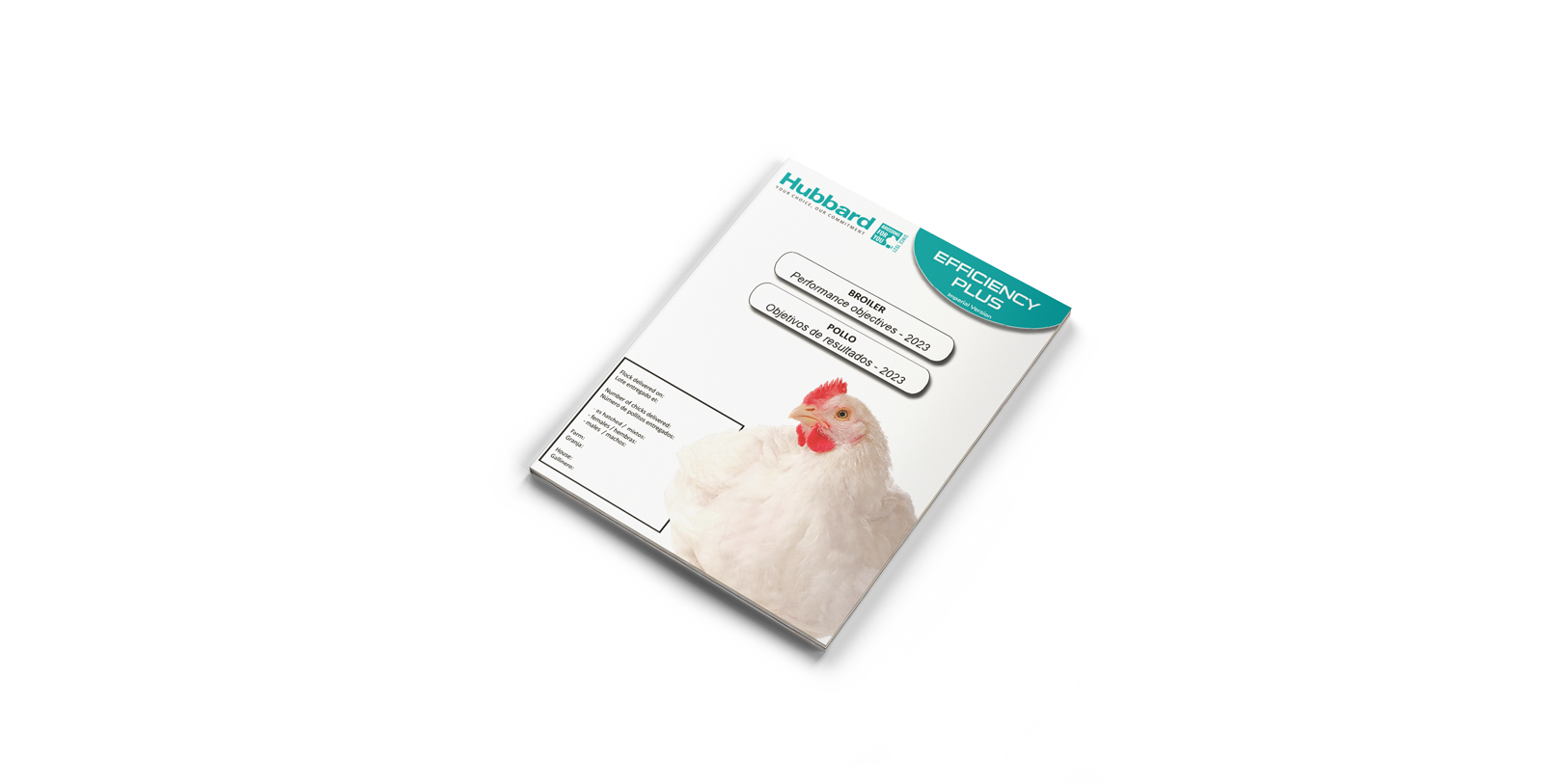 Mockup-Broiler-PO-IMP ENES