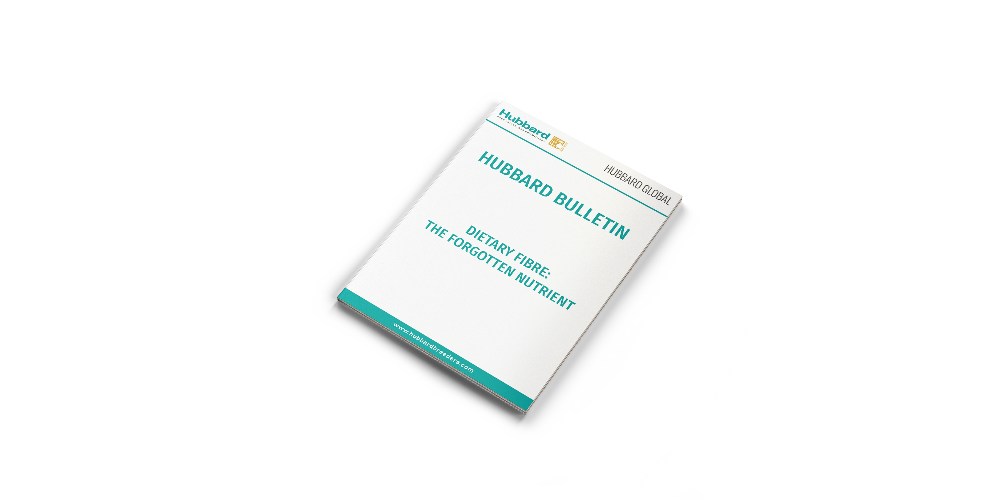 MOCKUP DIETARY GLOBAL