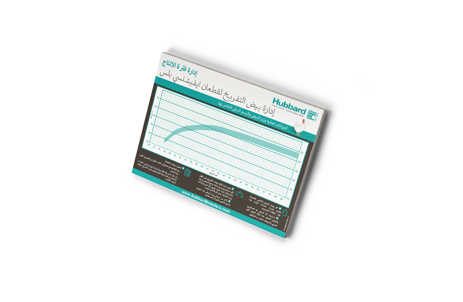 MOCKUP-EGG-WEIGHT-AR