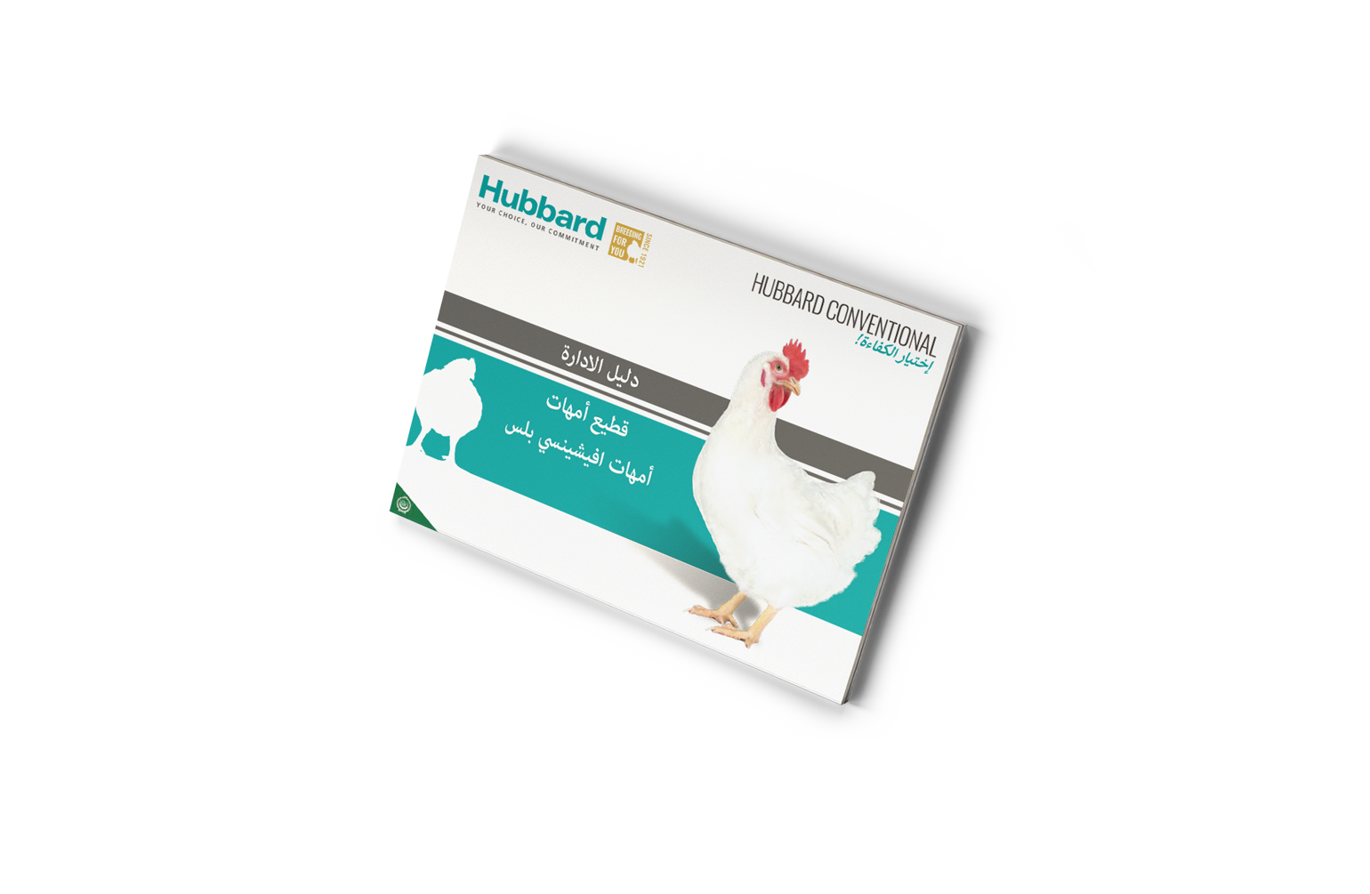 MOCKUP-GUIDE-HEP-ARABIC