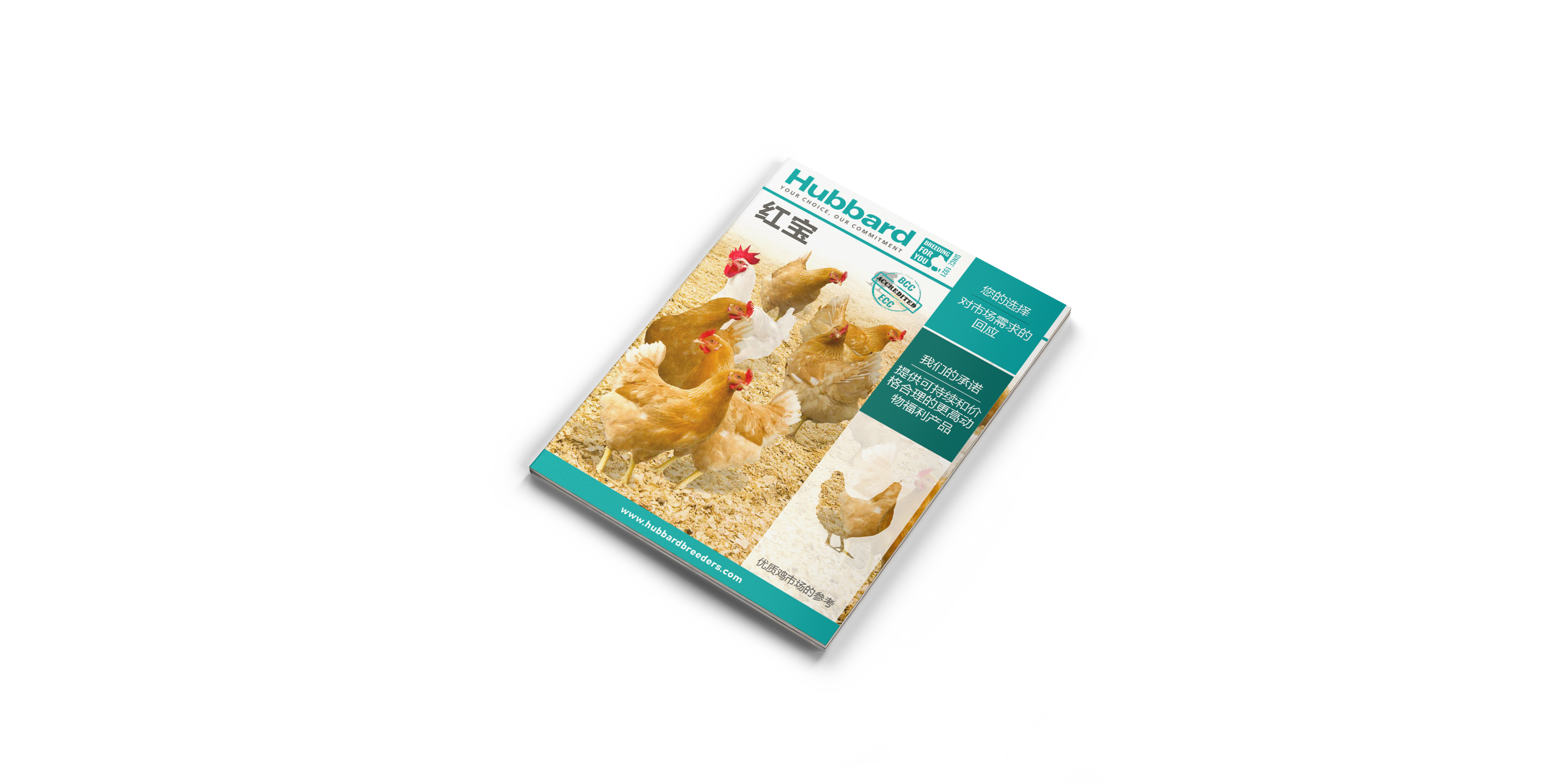 Mockup_Leaflet REDBRO