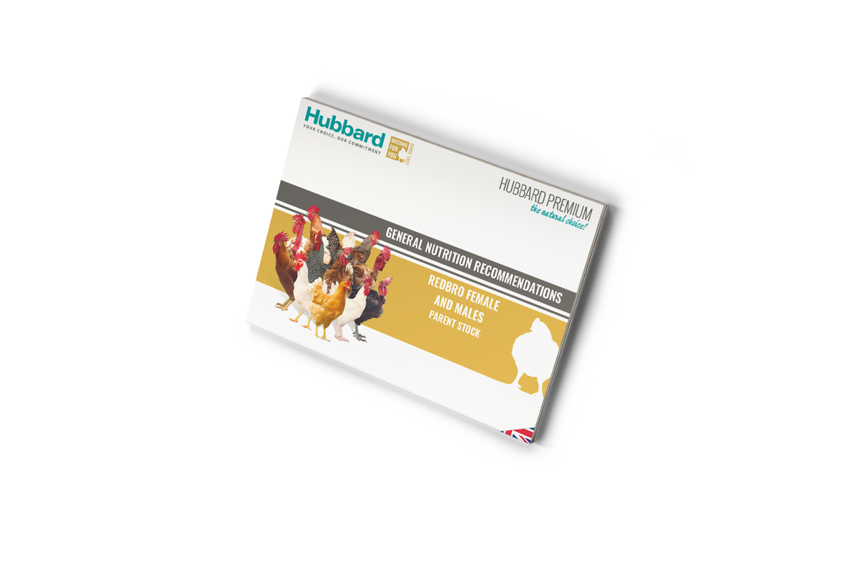 MOCKUP-ON-HOLD - Nutrition Recom REDBRO