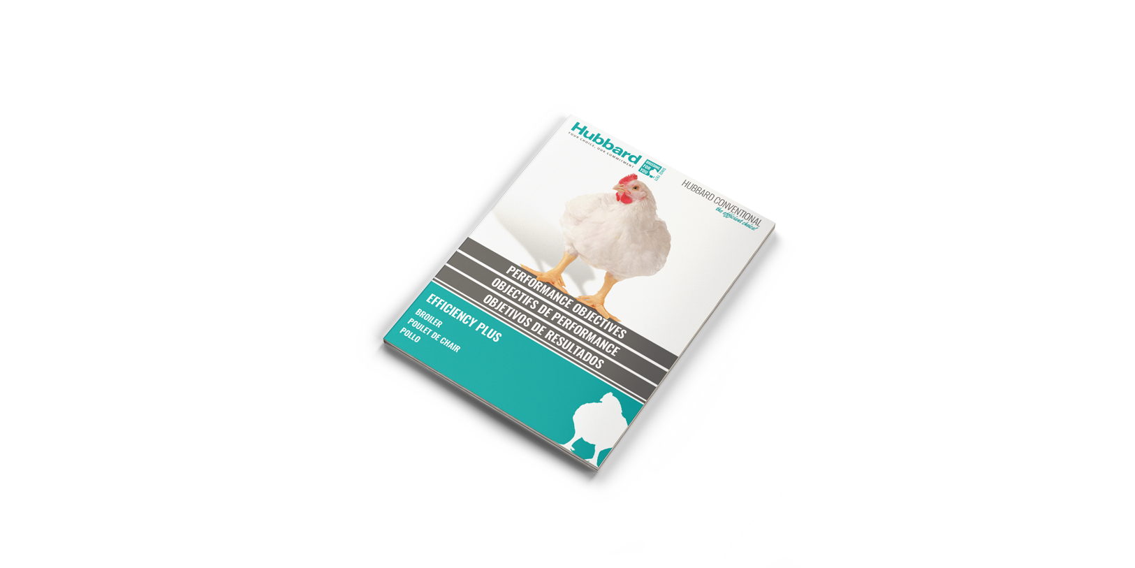 MOCKUP-PO-BROILER-