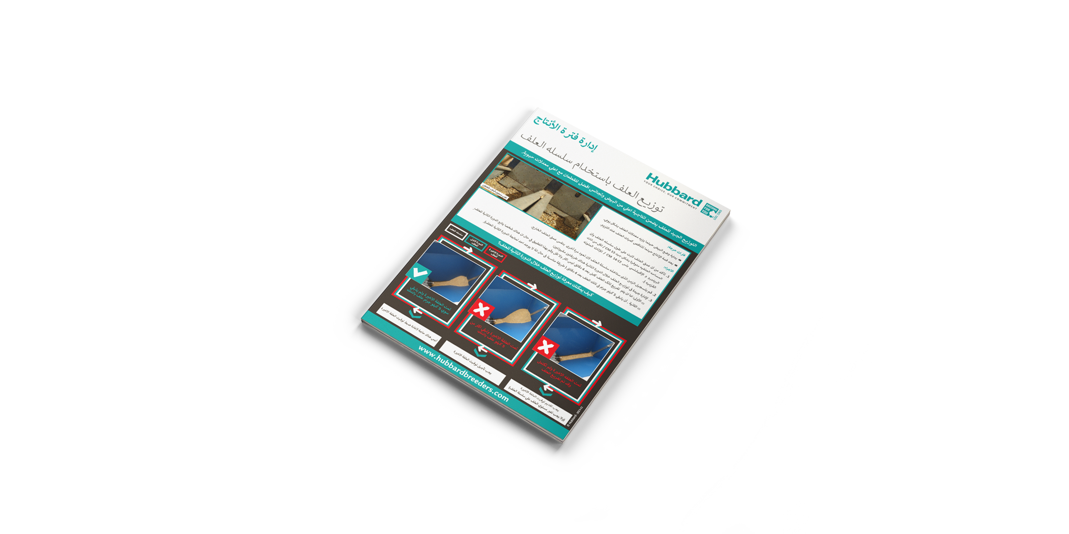 MOCKUP-POSTER-FEEDING-ARABIC