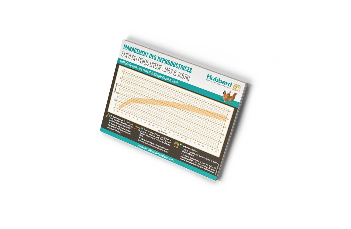 Mockup-POSTER-JA57-ET-57KI