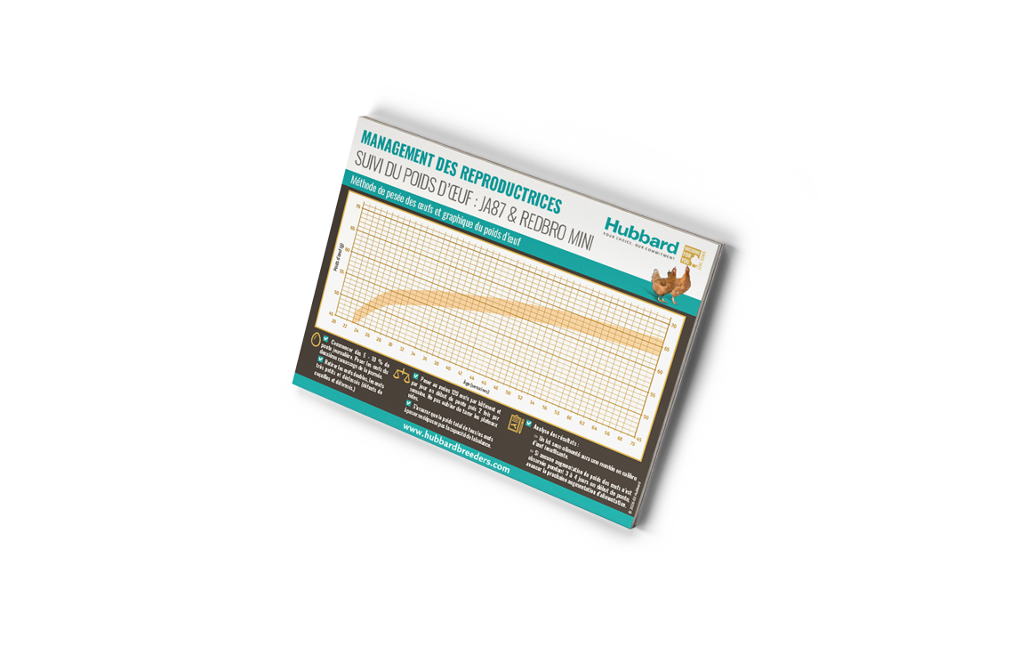 Mockup-POSTER-JA87-REDBRO-MINI