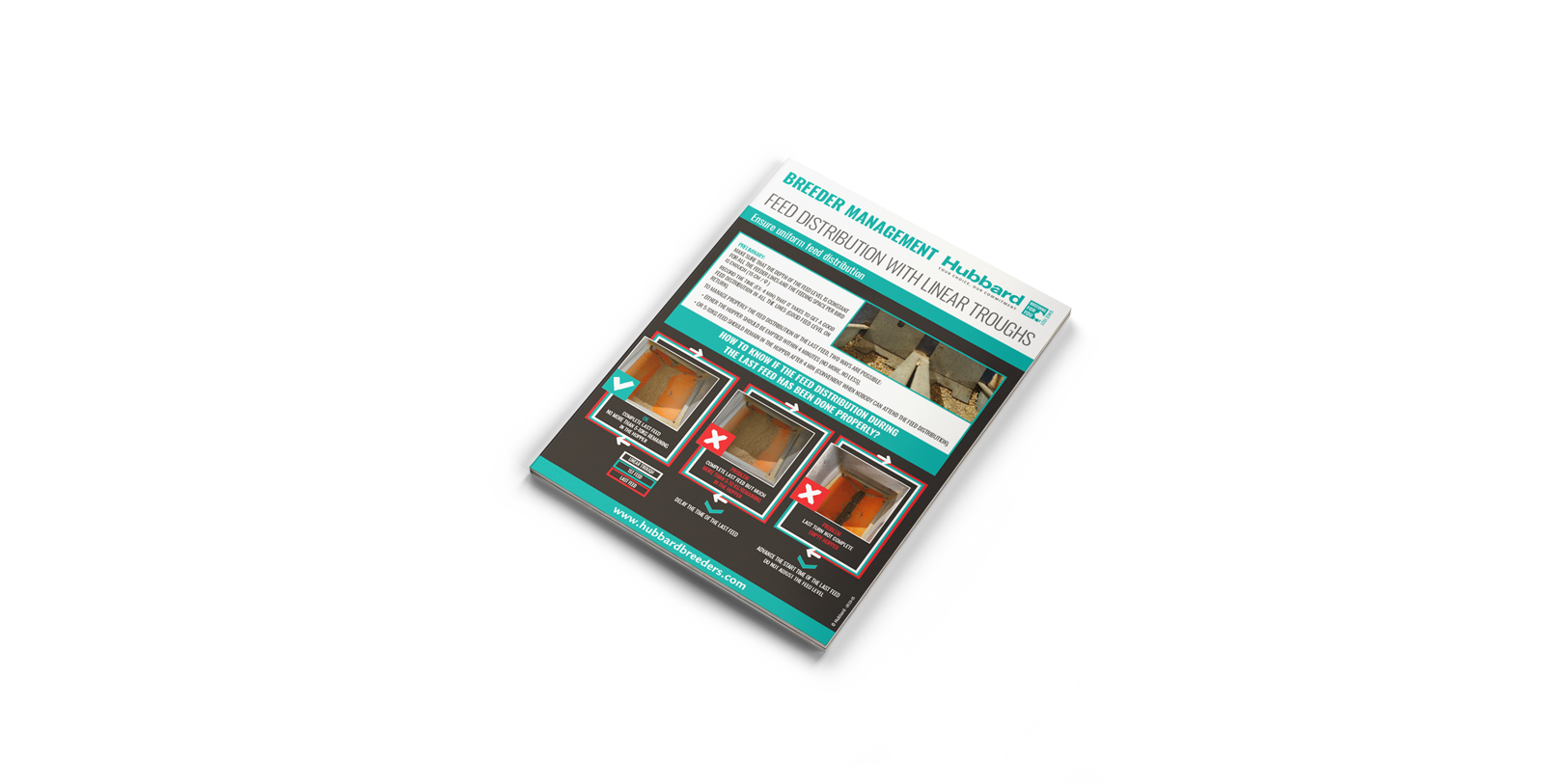 MOCKUP-Poster-Technique-Feed-Disribution