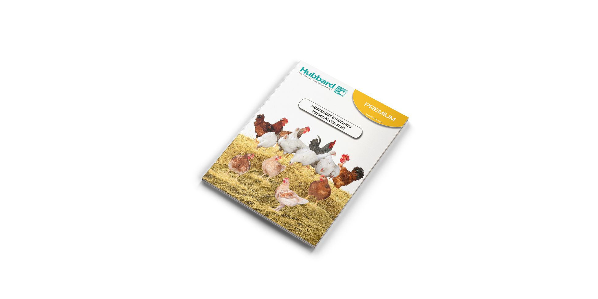 MOCKUP-GUIDE-BROILERS-Premium-IMP