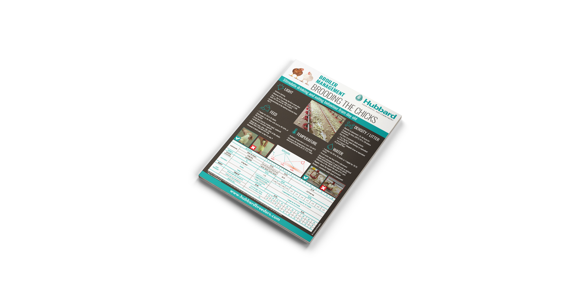 MOCKUP---POSTER-TECH---DEMARRAGE-BROILER---EN