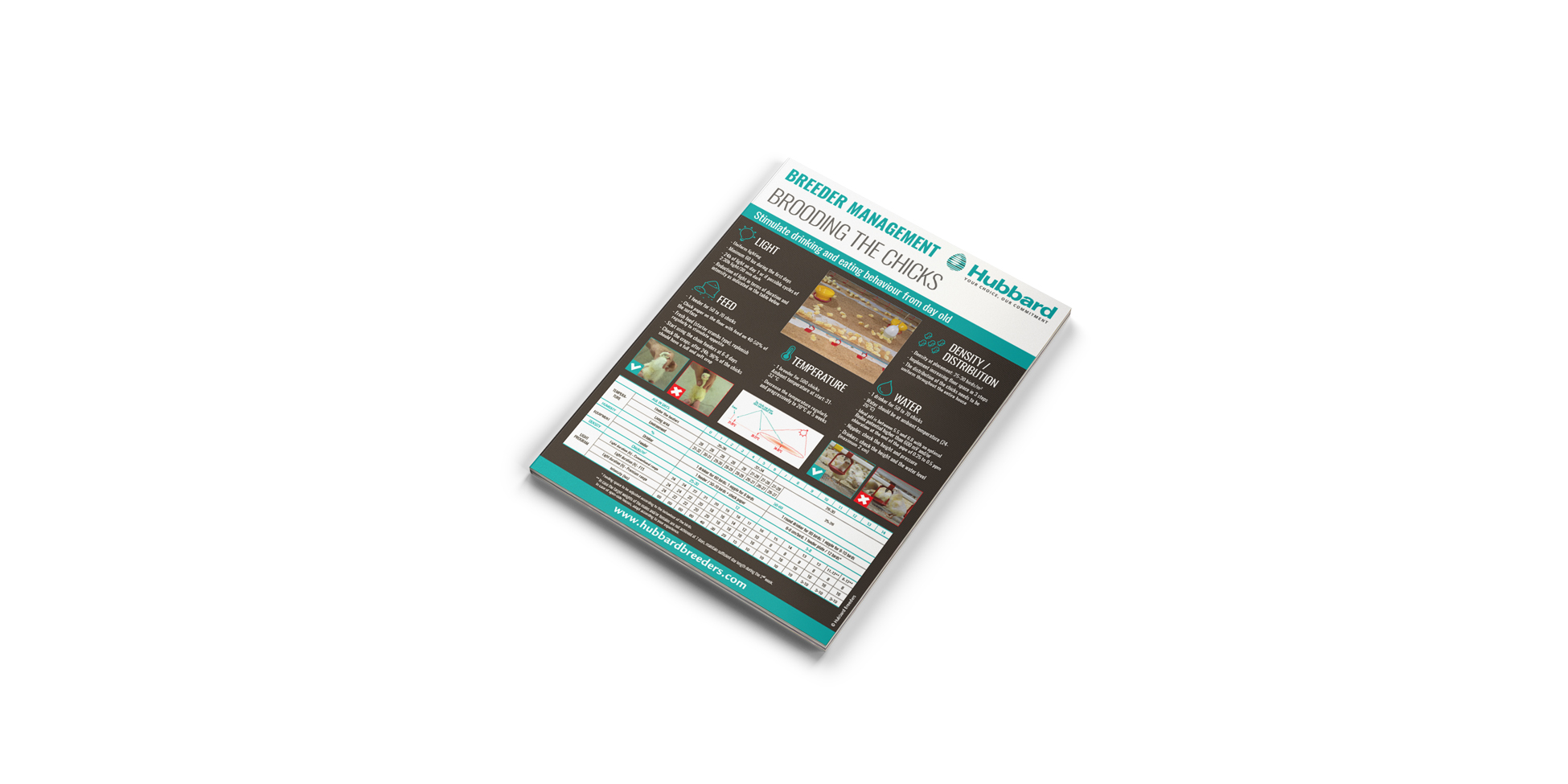 MOCKUP---POSTER-TECH---DEMARRAGE-PS---EN