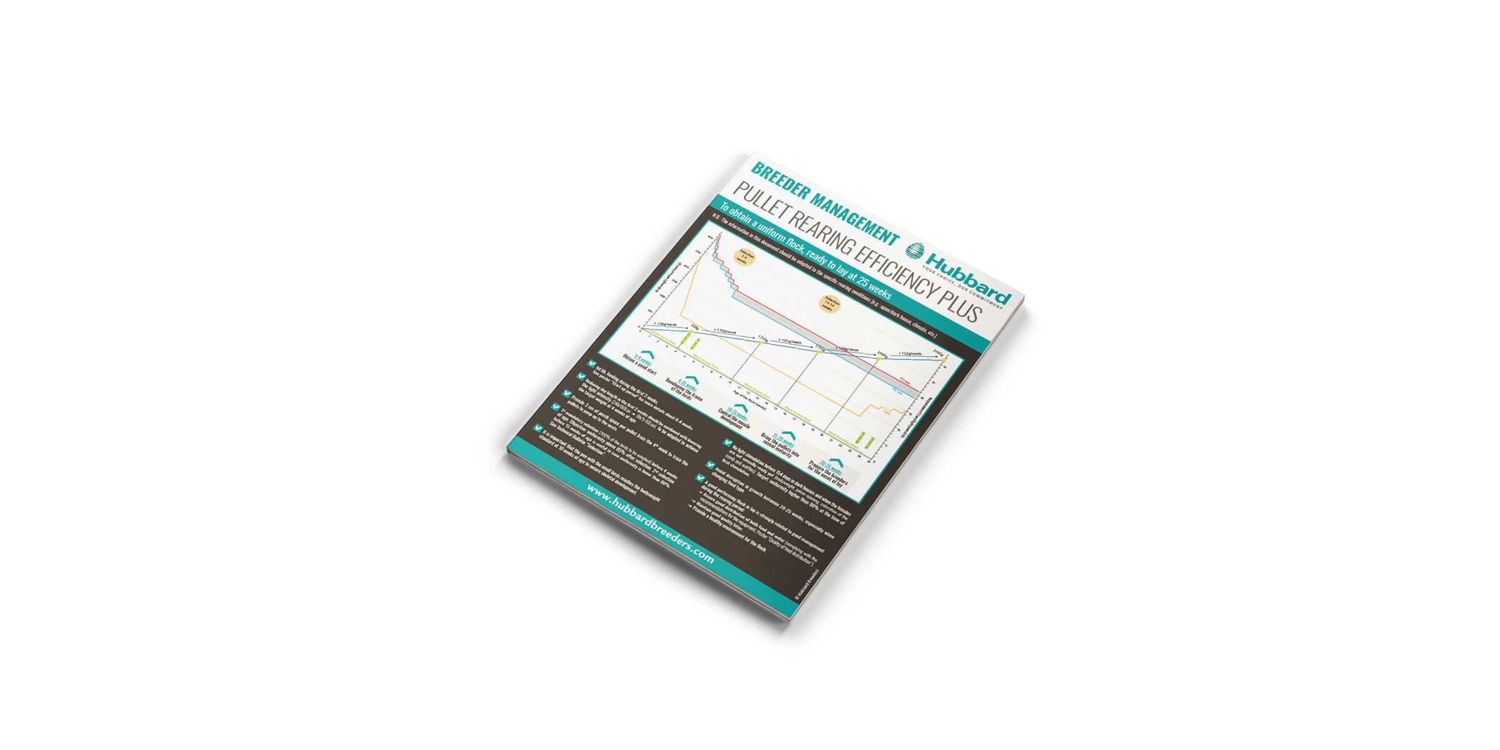 MOCKUP---POSTER-TECH---EN-HEP
