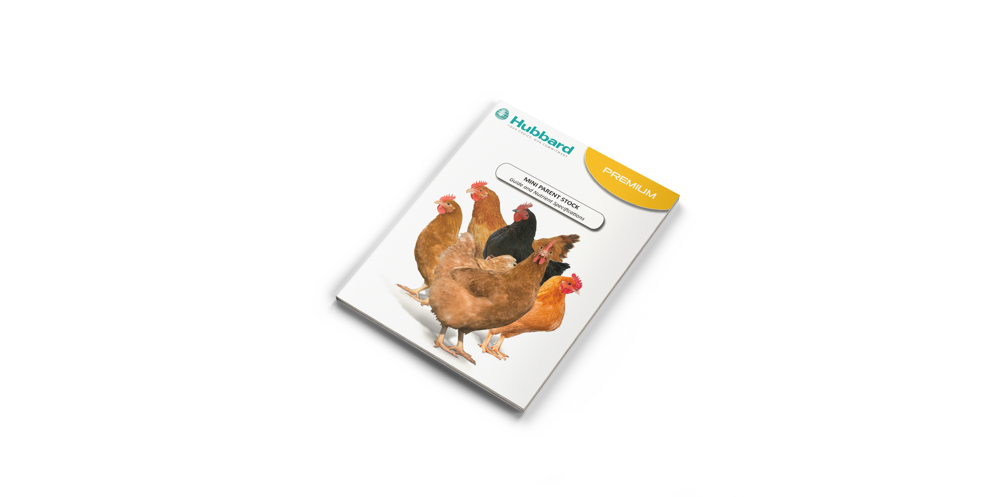 MOCKUP---PS-GUIDE-MINI-EN PNG