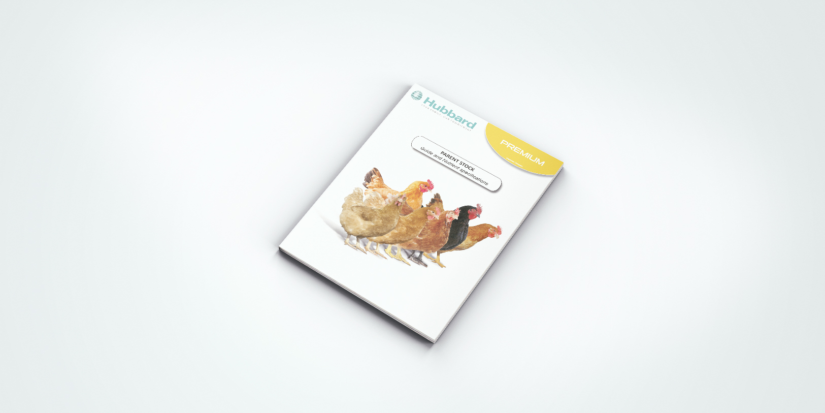 Mockup_PS_Guide_Premium_EN_Imperial-version_20200402