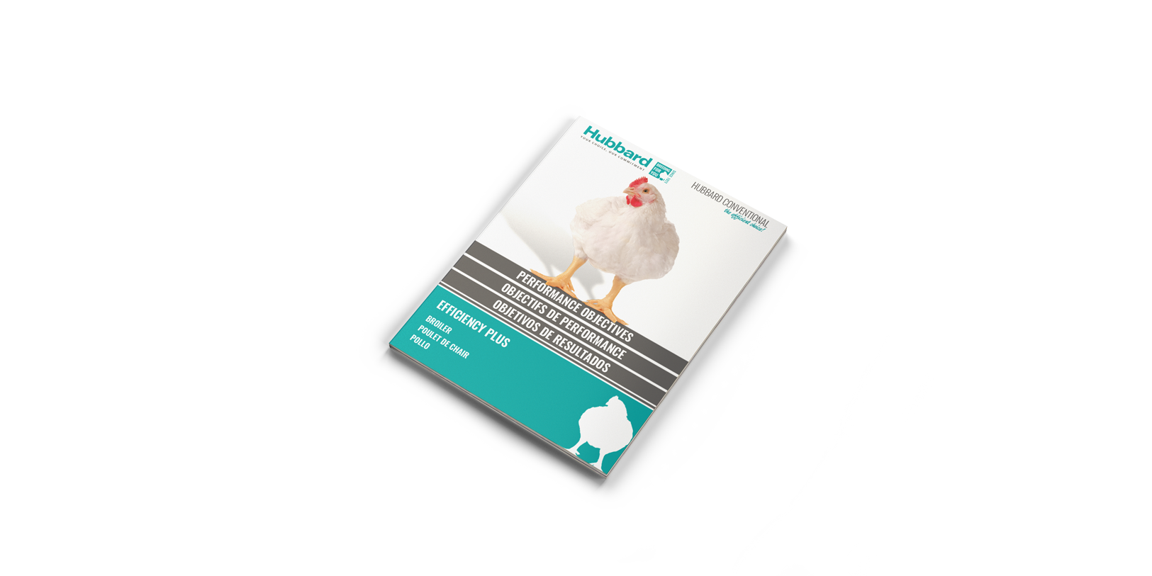 PO-BROILER-MOCKUP