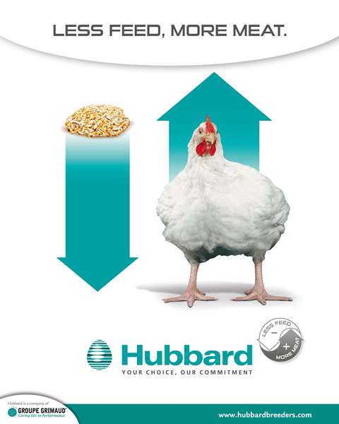 POSTER LESS FEED MORE MEAT WEB2