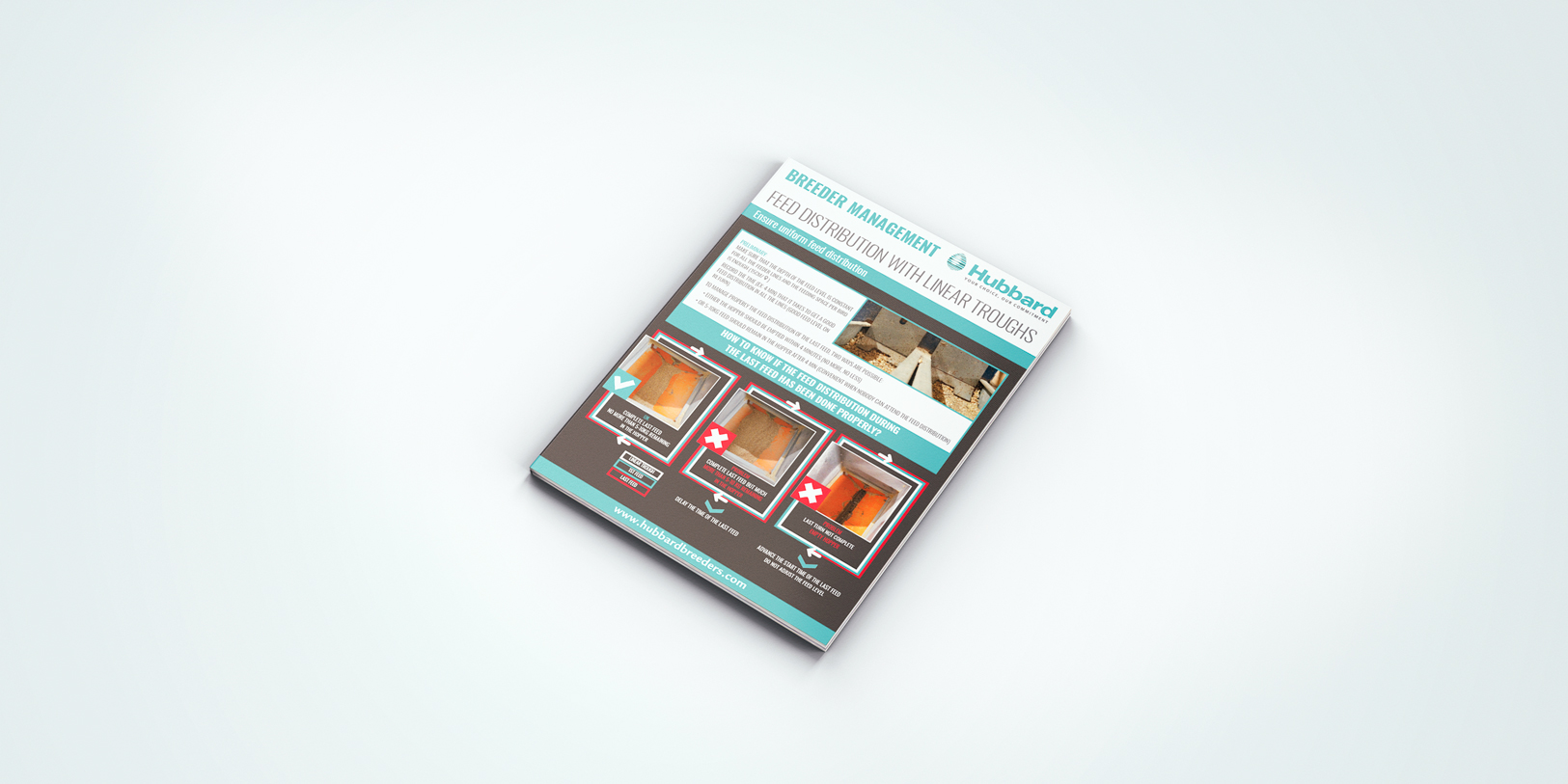 POSTER-TECH-DIST-ALIMENT-EN