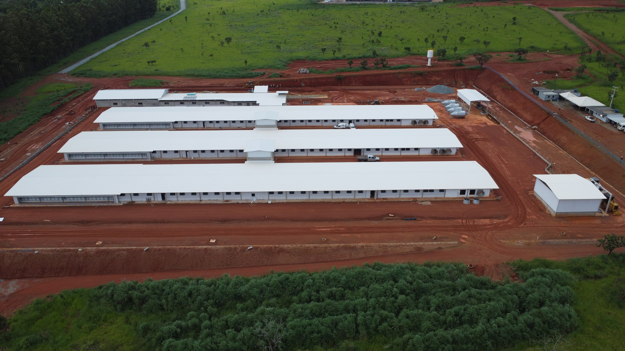 PR-06---Hubbard-Bresil-LDl