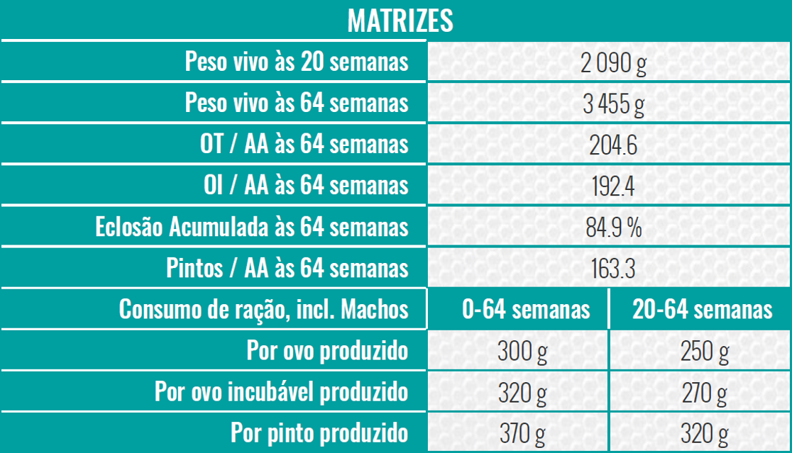 PT-MATRIZES