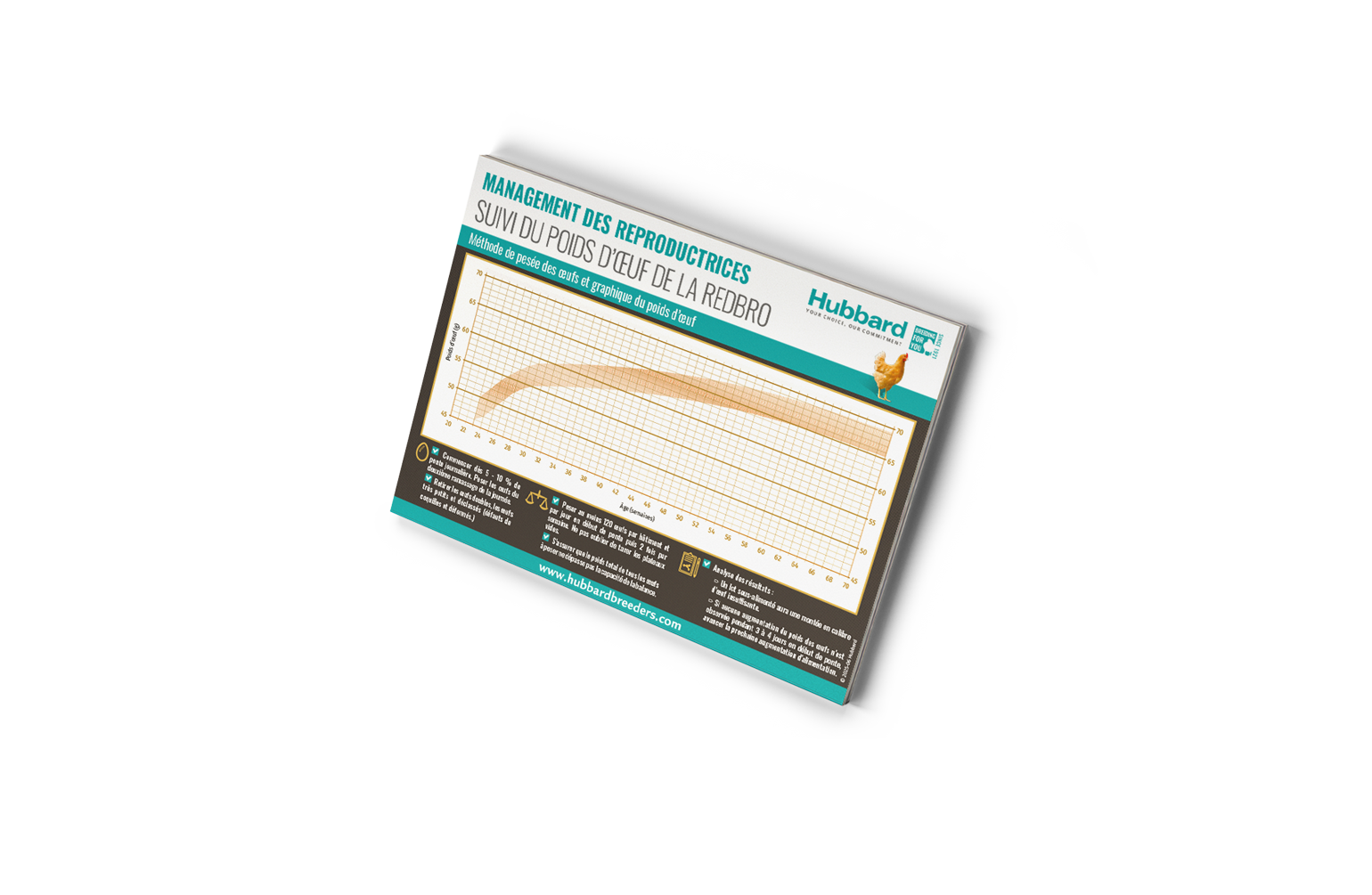 REDBRO-FR-MOCKUP