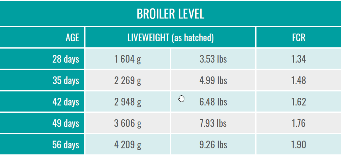 BREEDER AND BROILER PERFORMANCES
