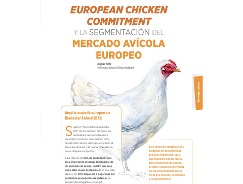 ART_AviNews-Spain-Dec2020_ECC-y-la-segmentacion-del-mercado-avicola-europeo(ES)